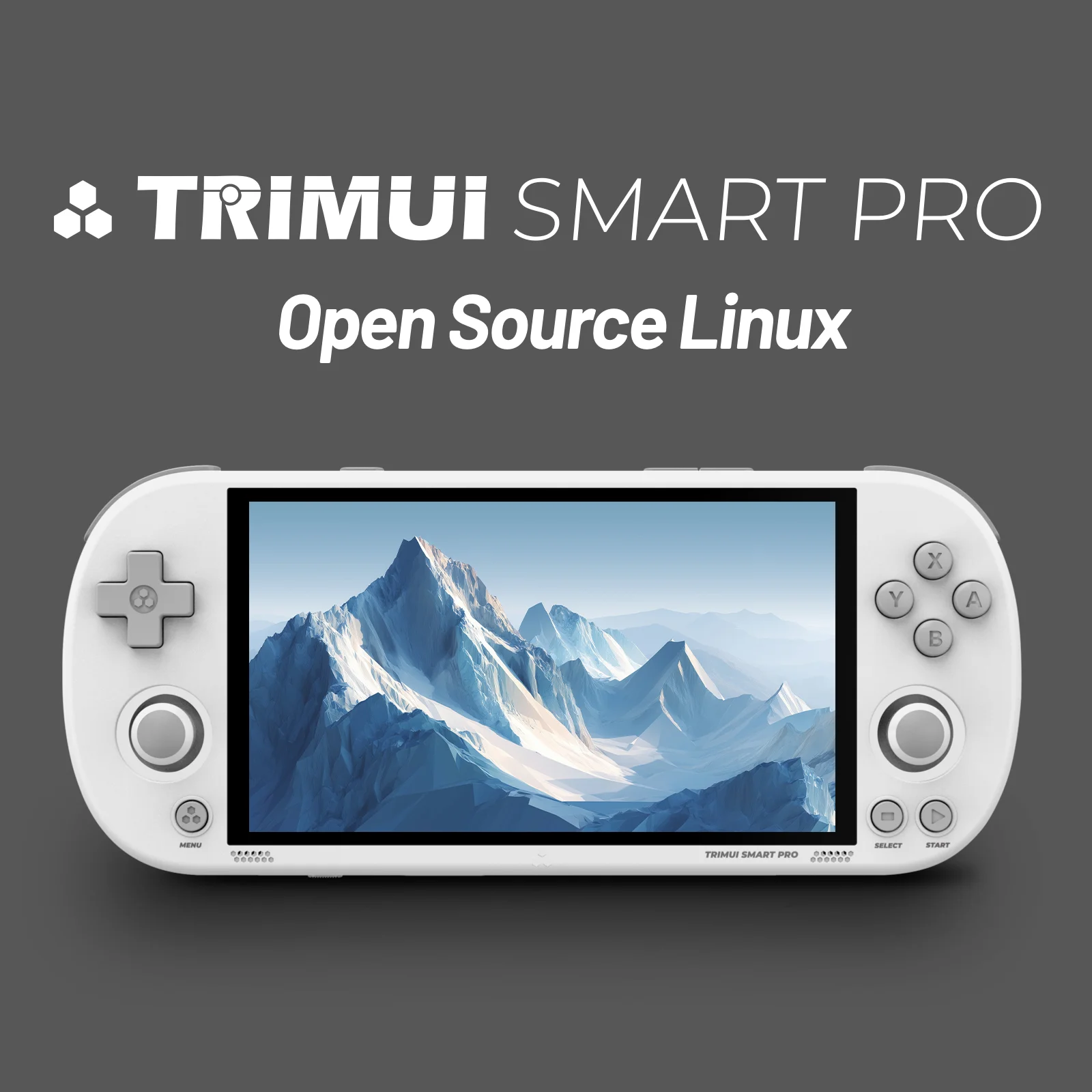 Trimui Smart Pro 4,96